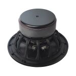 W5-1611SAF | Breitband Lautsprecher | 5" | Tang Band